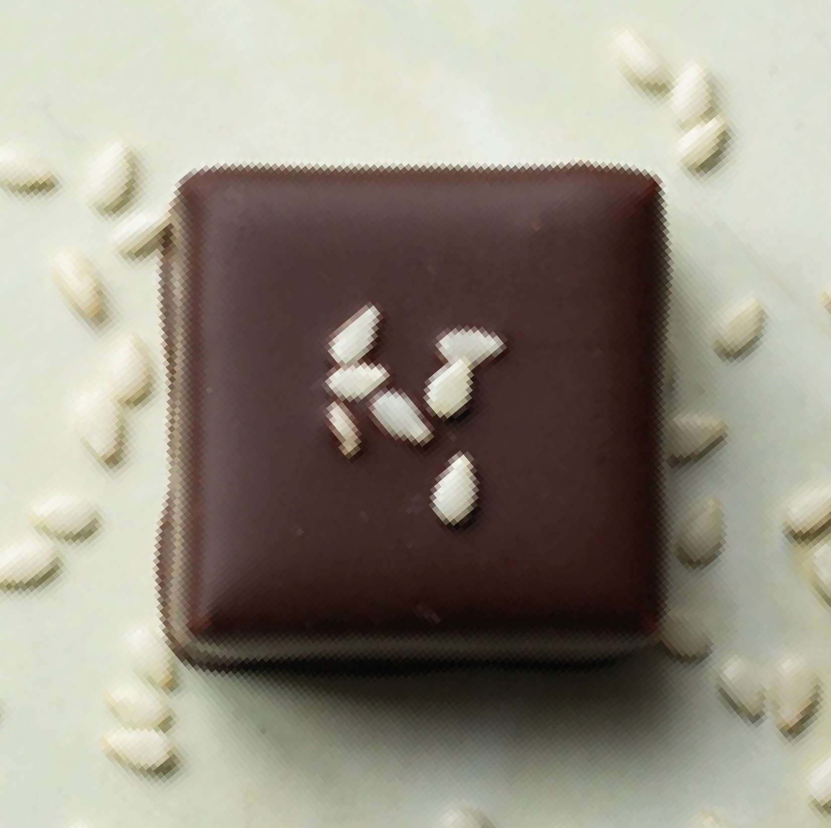 denver_williams_chocolatier-de-quartier_bonbon-au-chocolatlorrainehellwig_18